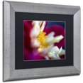 thumbnail image 2 of Trademark Fine Art "A Different Kind of Dahlia" Canvas Art by Kurt Shaffer, Black Matte, Silver Frame, 2 of 4