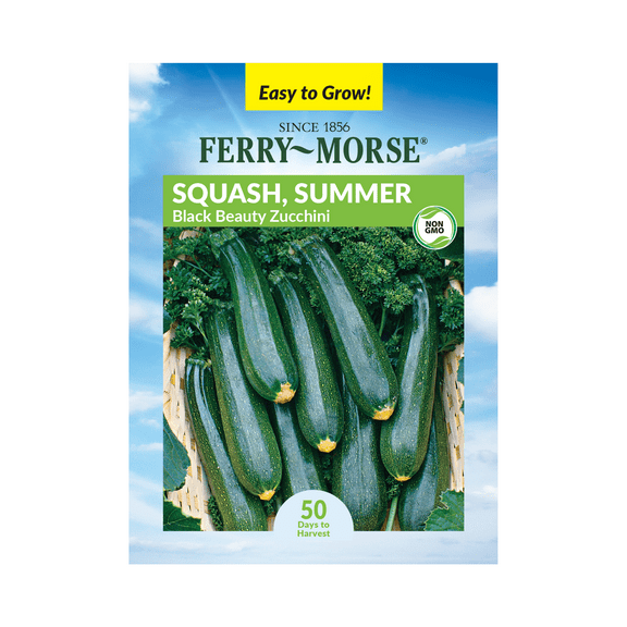 Ferry-Morse 2.5G Squash Black Beauty Zucchini Annual Vegetable Seeds, Full Sun