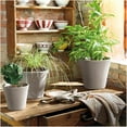 thumbnail image 2 of Deroma 3R21CSZ 8.3 In. Moka Cono Planter, 2 of 2