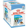 Royal Canin Small Breed Puppy Wet Dog Food, 3 ounce Pouch (Pack of 12)