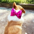 thumbnail image 4 of Mosey Durable Pet Collar Bow Lovely   Dog Supplies   Grooming Decoration, 4 of 7