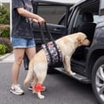 thumbnail image 4 of Adjustable Dog Lift Harness, Rear Leg Support Sling for Senior Dogs, Mobility Assistance for Weak Hind Legs, Injury Recovery and ACL Surgery Rehab, Fits Small Medium Large Dogs - XLarge, 4 of 10