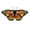 E, variant on Gallickan Butterfly Wings Cape Garden Flag Style J, Colorful Foil Decoration, for Party Photo Prop Kids Toy, 1pc
