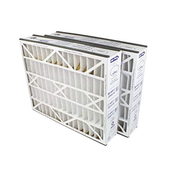 Trion Air Bear 255649-102 (2-Pack) - 20" x 25" x 5" Pleated Air Filter, MERV 8