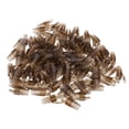 thumbnail image 4 of Paquete de 100 botas de Protección Contra Tirones Para cable de red Ethernet CAT5E CAT6 marrón Sunnimix, 4 of 7