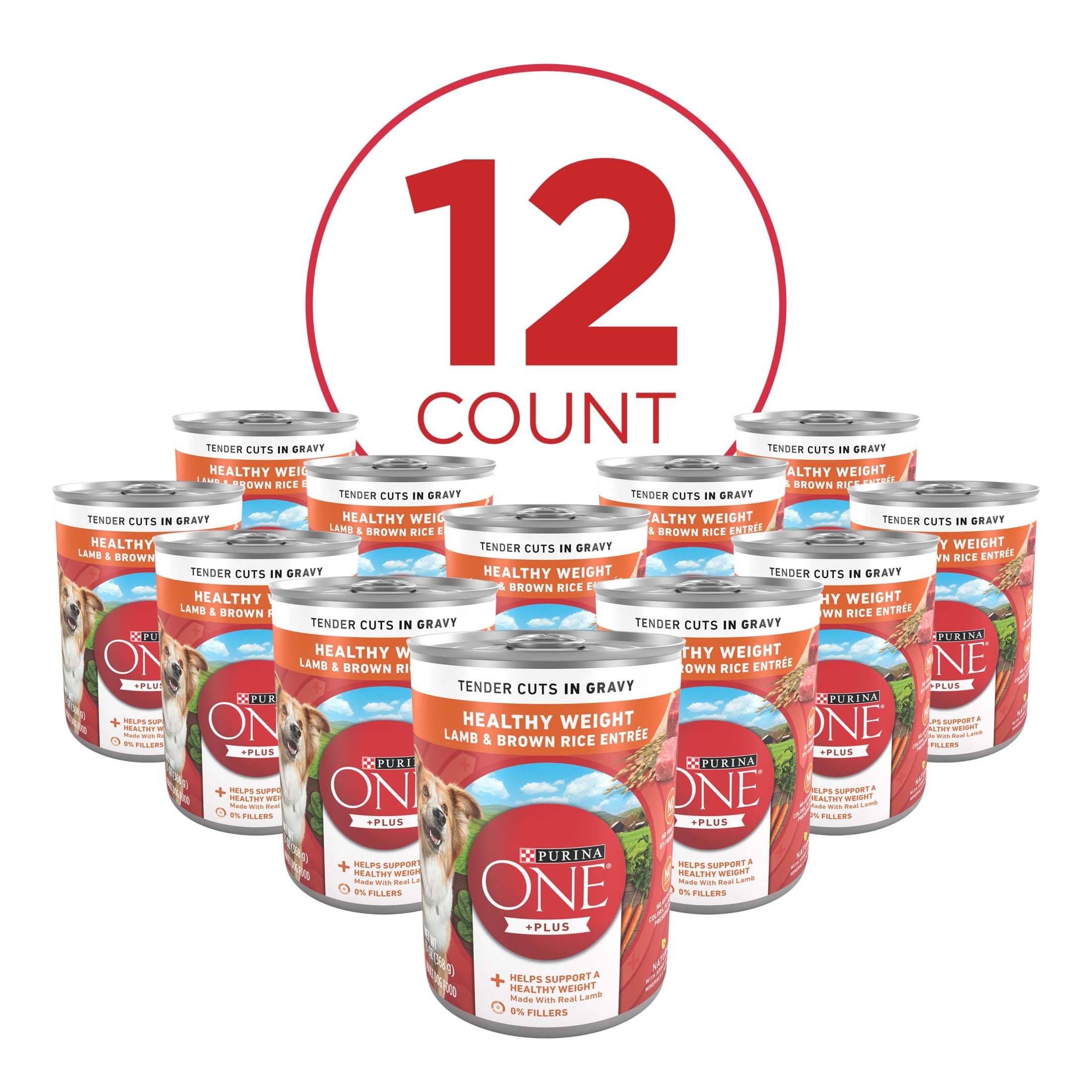 Purina ONE PLUS Natural Wet Dog Food, High Protein Soft Lamb & Brown Rice, 13 oz Can