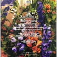 thumbnail image 2 of Little Mix - Between Us - 2 Lp Acetato Vinyl Sony Vinyl, 2 of 2