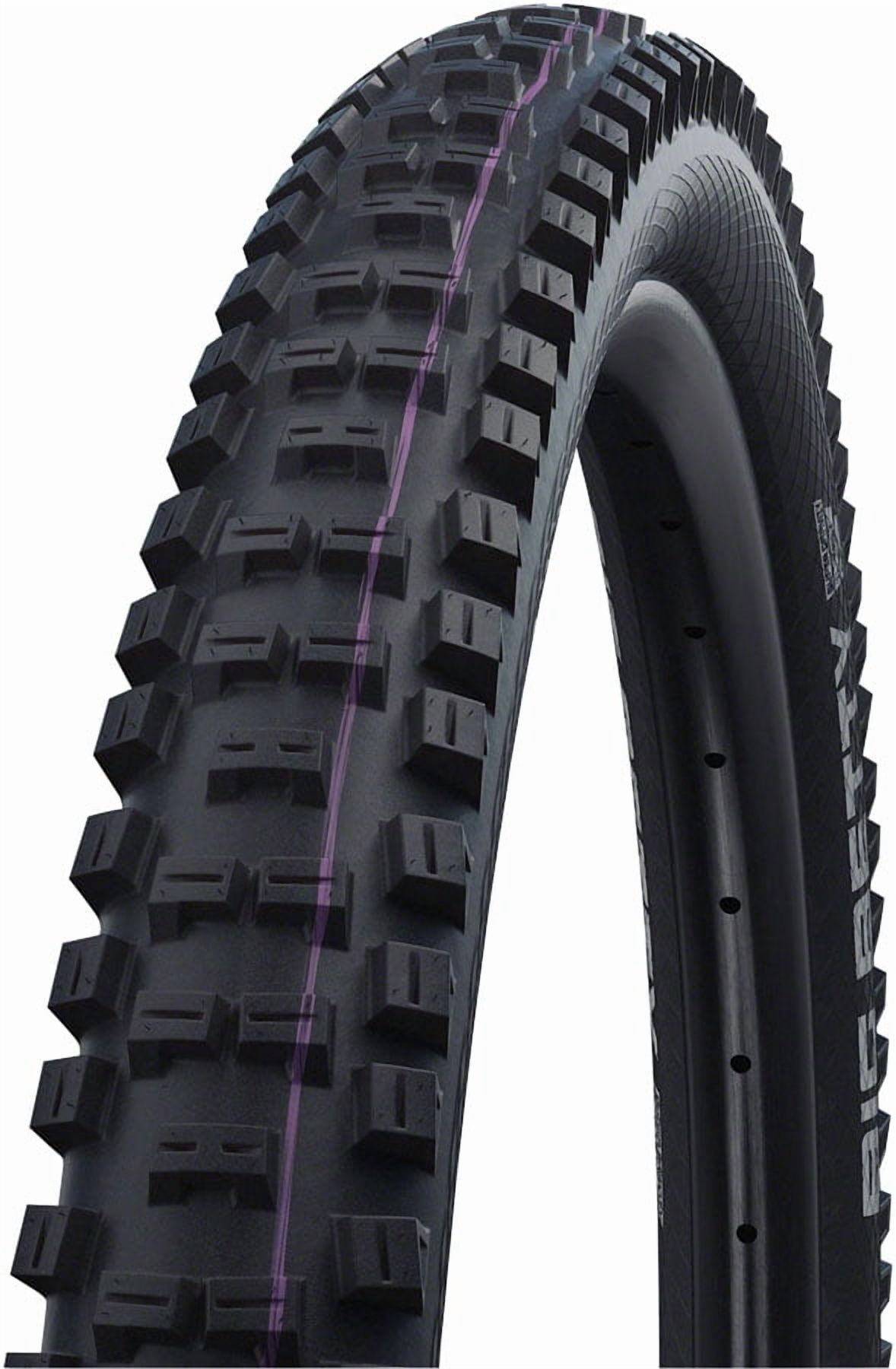 マジックマリー　ビックベティー　mtb タイヤ　29インチ マジックマリー ビックベティー mtb タイヤ 29インチ Schwalbe Magic