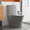 Gray, variant on Netrum Small Compact One Piece Toilet,Dual Flush Toilet 0.8/1.6 GPF Water Saving,Modern Porcelain Toilet Comfort Seat Height (Seat Included),White