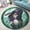 Hero Akali, variant on Round Area Rug, Autumn6 Animal Lover Gift Non-Slip Floor Mat, Soft Washable Carpet for Living Room Bedroom Decor 24 Inch