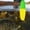 Green Yellow, variant on CHENjy Fishing Slip Bobbers, Weighted Foam Fishing Floats, Catfish Fishing Buoys, High Visibility Casting Bobbers for Trout, Green Yellow