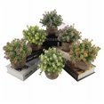 thumbnail image 5 of Planta artificial en maceta de simulación perfecta para decoración interior del hogar y la oficina, Gypsophila roja oso de fresa  Electrónica, 5 of 5