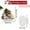 Multicolour 1459-Free Size, variant on Danieerclosy Acrylic Nativity Scene Easter Suncatcher, Small Waterproof Decoration for Desks and Counters, Perfect for Holiday and Home Decor Accessories, Easter Decor