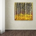 thumbnail image 4 of Trademark Fine Art Roderick Stevens 'Fall Aspens' 24 x 24 (RS997-C2424GG), 4 of 4