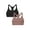 Premium Plum/Black Hue, variant on : A Fresh Collection So Sporty 2-Pack Women's Seamless Racerback Croptop Bras