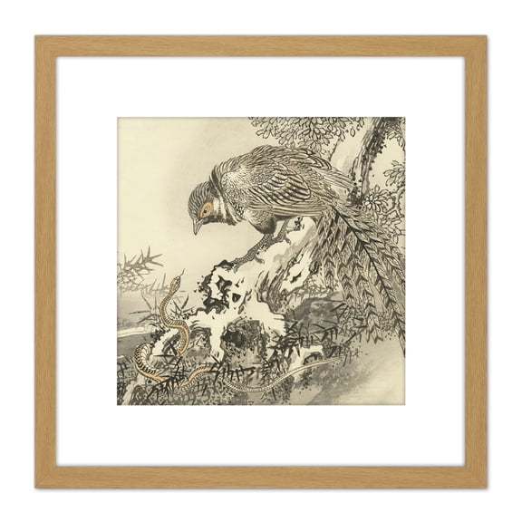 Bairei Pheasant Snake Japanese Painting 8X8 Inch Square Wooden Framed Wall Art Print Picture with Mount