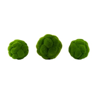 NUOLUX 2pcs Preserved Moss Decorative Moss Balls Decor Balls Green Moss  Decor Indoor Ornaments 
