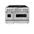 thumbnail image 4 of ZLINE 48 in. Professional Dual Fuel Range with Blue Matte Door (RA-BM-48), 4 of 4