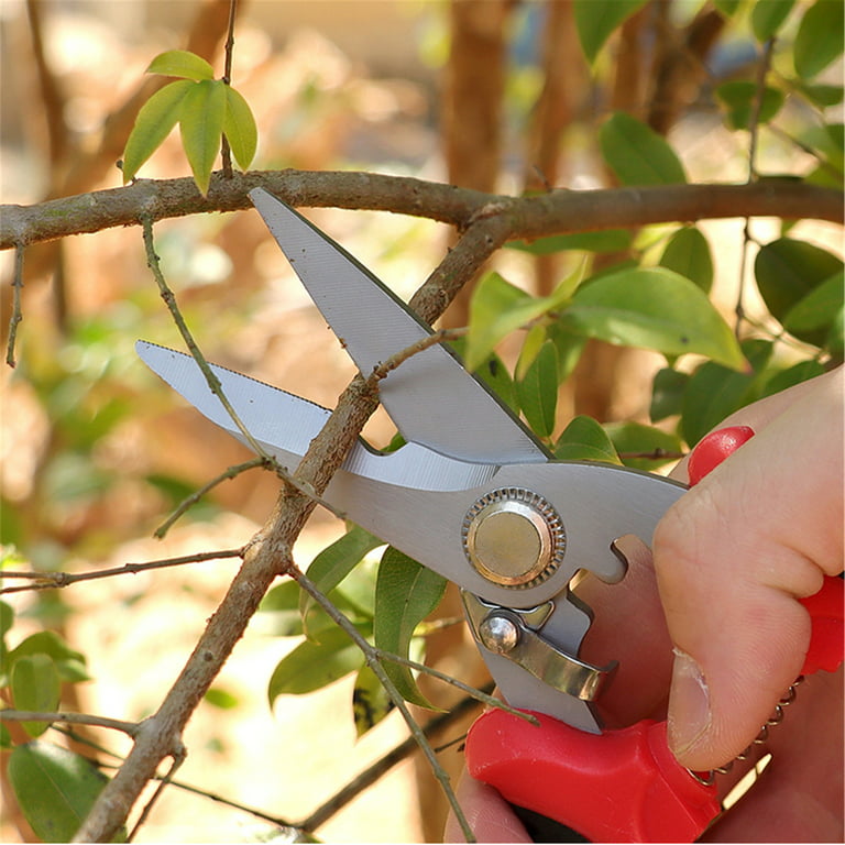 Pruning Shears Horticulture Pruner Cut Garden Scissors Trimmer For