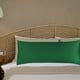 thumbnail image 2 of 51*137 cm (20*54 pulgadas) Almohada de color Imitación seda Almohada doble Almohada de seda extendida Almohada para parejas, 2 of 2