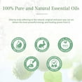 thumbnail image 4 of PHATOIL Bergamot Essential Oils 100% Pure Natural for Aromatherapy, Humidifiers, Skin Care, Massage, Great for DIY Candle and Soap Making - 100ml/3.38 fl.Oz, 4 of 8