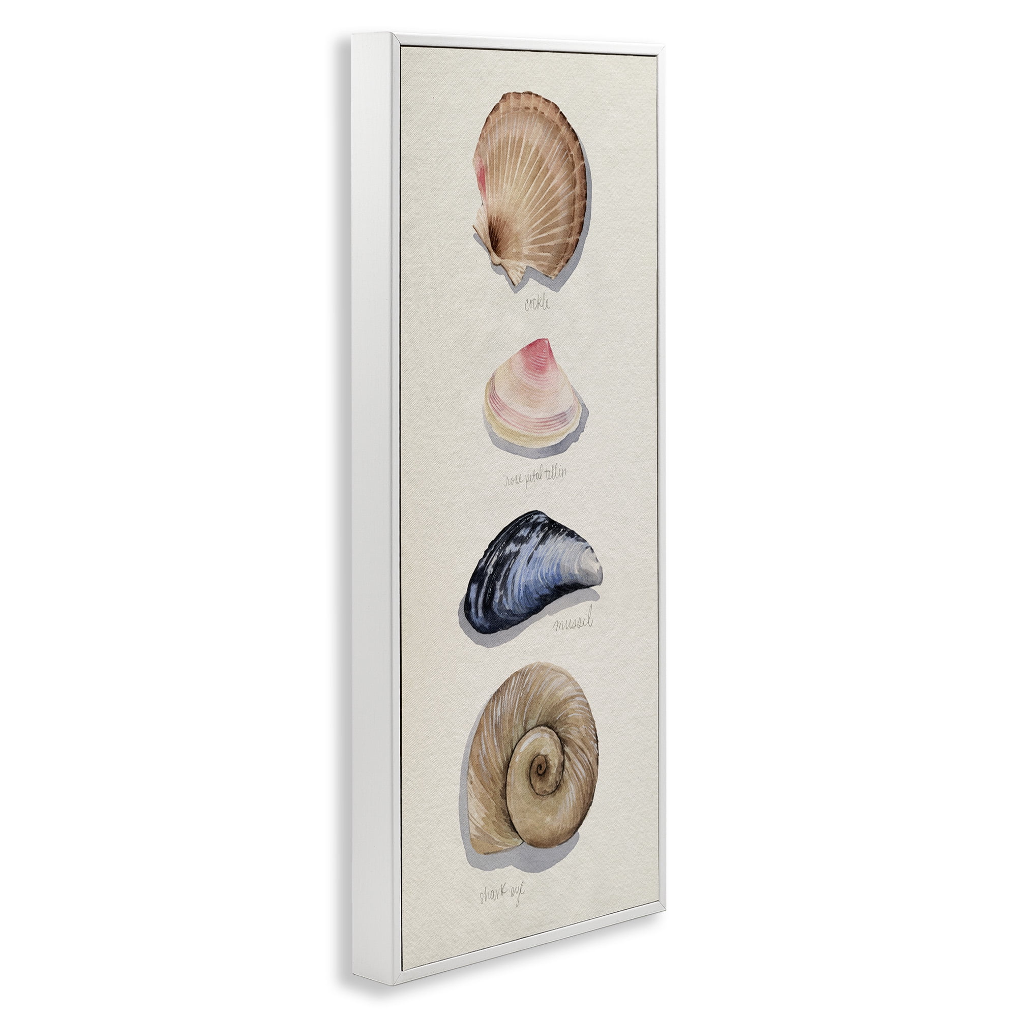 Stupell Industries Traditional Nautical Sea Shells Nature Painting White Framed Art Print Wall Art, 13 x 30