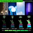 thumbnail image 4 of Paquete de filamentos para impresora 3D Yousu Glow in The Dark PLA de 1,75 mm, 4 of 6