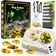 thumbnail image 1 of Amber Gemstone Dig Kit，Educational Science Kits for Kids Age 6 7 8 9 10，Crystals and Gemstones Gifts for 6+ year old girls boys Gem Digging Four Piece Set, 1 of 5