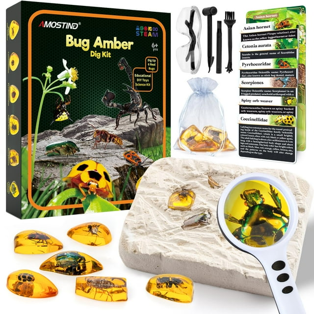 Amber Gemstone Dig Kit, an educational science kit for kids aged 6 and up, featuring six insect specimens preserved in transparent resin, including Vespa crabro, scorpions, ladybugs, Pyrrhocoridae, stink bugs, and Thoracic spinach spider. The kit includes a mallet, chisel, ousting brush, magnifier, and six learning guides. Designed to encourage curiosity and hands-on skills, this STEM toy allows children to dig and study like geologists. The set is displayed with amber pieces, tools, and a magnifier, alongside a colorful box with insect illustrations.