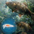 thumbnail image 3 of LICEWO Wild Fishing Attractant Antarctic Shrimp/Fishy Smell Gel Fish Attractant Gel, 3 of 12