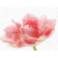 thumbnail image 2 of Greene, Taylor 32x25 Gold Ornate Wood Framed with Double Matting Museum Art Print Titled - Tulip Flamingo, 2 of 4