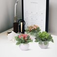 thumbnail image 3 of Pequeñas plantas de plástico artificiales Set Mini flores de imitación en maceta y hojas verdes UHUSE  plantas artificiales, 3 of 11