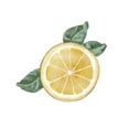 thumbnail image 3 of Bannarot 20x20 Black Modern Framed Museum Art Print Titled - Citrus Limon V, 3 of 5