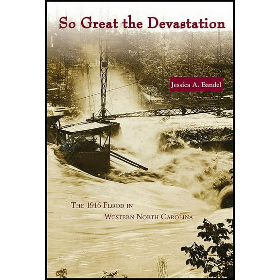 So Great the Devastation: The 1916 Flood in Western North Carolina, (Paperback)