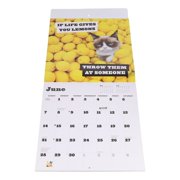Grumpy Cat 2026 Wall Calendar, (Paperback)