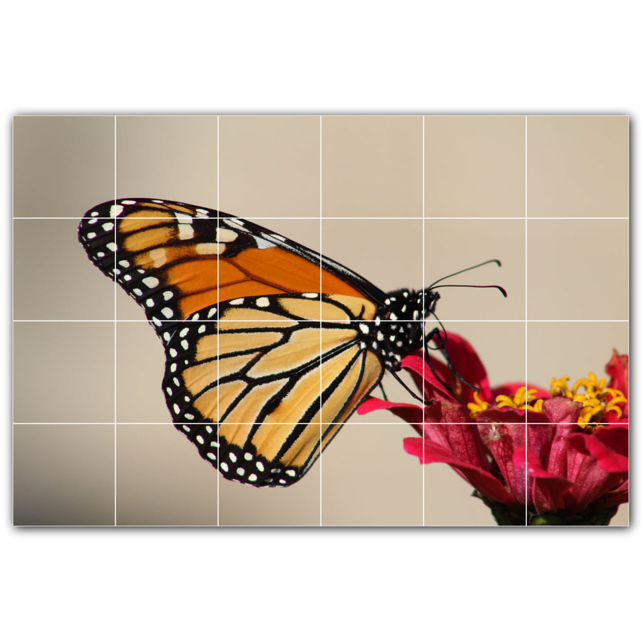 rose butterflies birds Tile Mural Kitchen Bathroom Backsplash Marble Ceramic 
