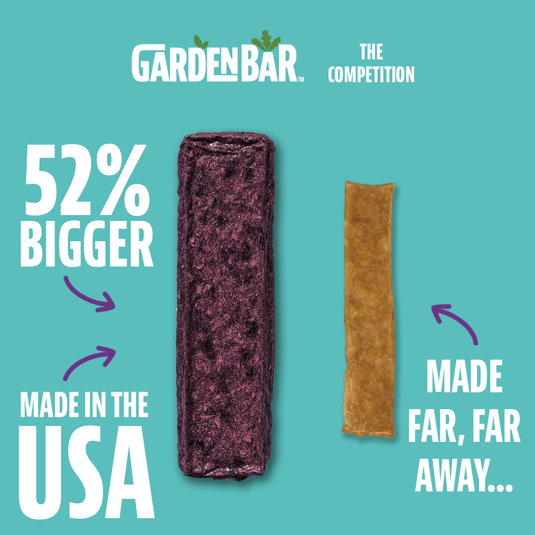 Garden Bar Raspberry Cherry Lime Dehydrated Fruit Jerky 12 Count
