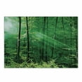 thumbnail image 1 of Forest Cutting Board, Sun Rays Bursting into the Forest Trees Foliage Misty Morning Serenity Picture, Decorative Tempered Glass Cutting and Serving Board, Small Size, Green White, by Ambesonne, 1 of 1