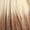 FFTREVERSEBL, variant on Zury Sis Diva Pre Tweezed Part Synthetic Wig - DIVA H SISTA