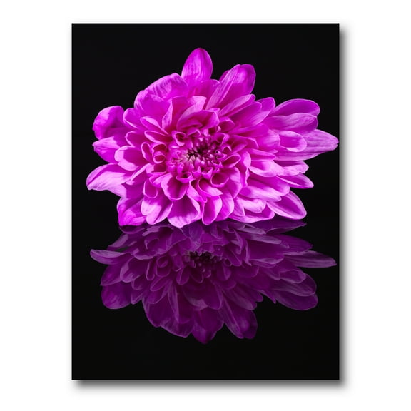 Single Purple Chrysanthemum Flower On Black Reflection 8 in x 12 in Painting Canvas Art Print, by Designart