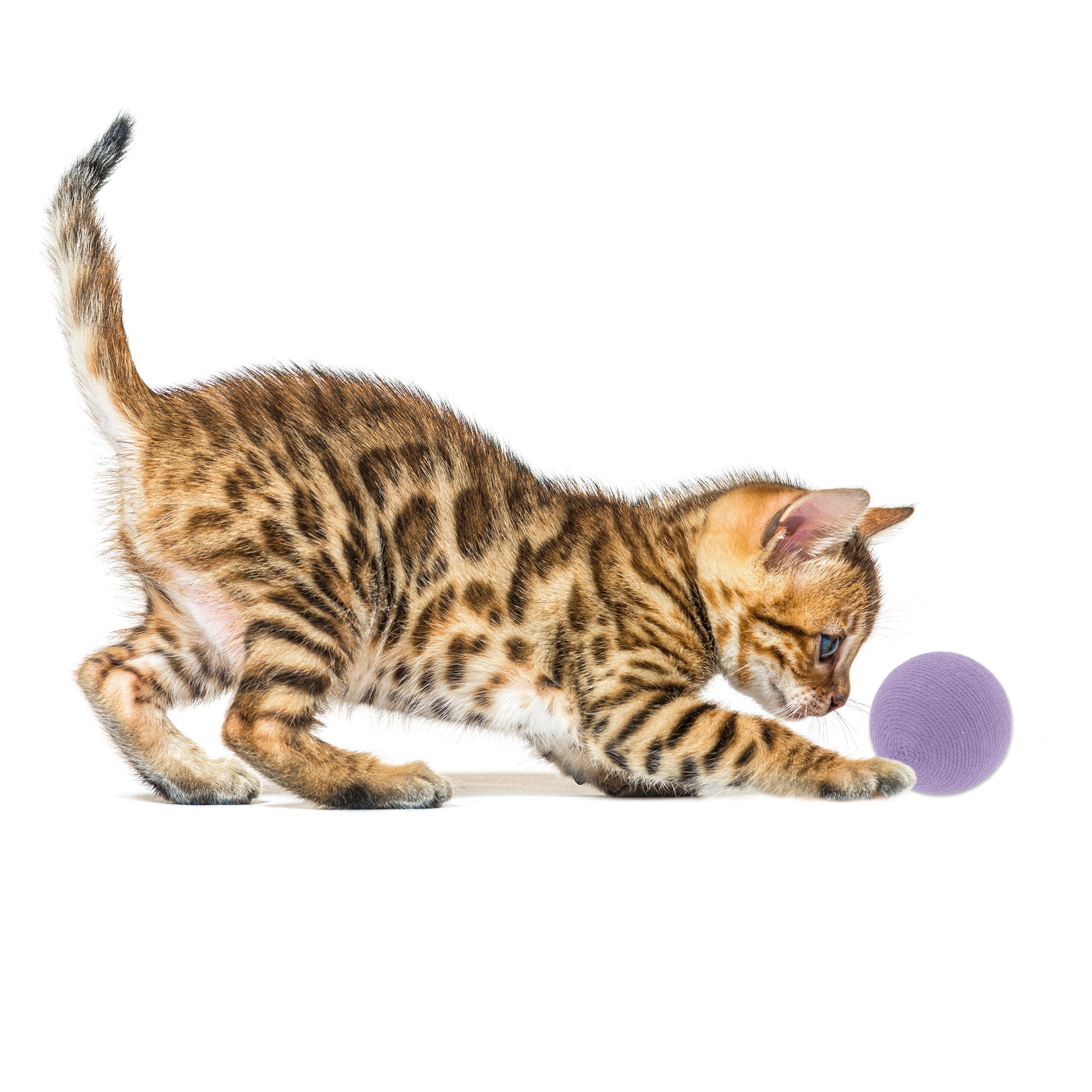 Unique Bargains Playing Ball with Bell for Cat Playtime Purple