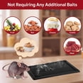 thumbnail image 3 of ACDANC 48 Pack Glue Traps for Rats and Snakes,Larger and Heavy Duty Baited Sticky Traps with Non Toxic Glue,Exterminator Plastic Mouse Indoor Board,Ready to Use,Safe to Children and Pets (Black), 3 of 7