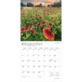 thumbnail image 4 of Texas Wildflowers 2026 12x24" (Hanging) Wall Calendar | Plastic-Free | BrownTrout, 4 of 9