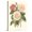 Canvas, variant on Art.com Vintage Roses II Art Print by Vision Studio, 12" x 16"
