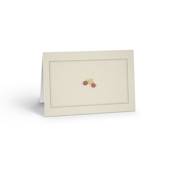 Cute Ladybugs Blank Note Card - 10 Note Cards with Envelopes - B14435