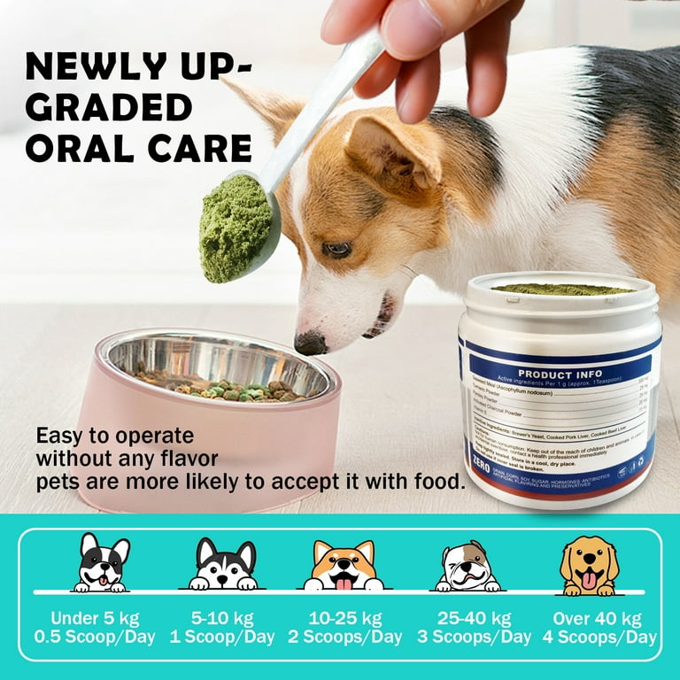 Teeth Cleaning What To Feed Dog With Bad Teeth Best Dental Teeth