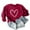 Red, variant on Busydd Womens Fall Tops Fashion Love Heart Print Sweatshirt for Women Casual Comfy Loose Fleece Crewneck Long Sleeve Shirts for Women