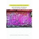 thumbnail image 1 of Qué epidemia de rosas Blanco, 1 of 2