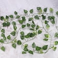 thumbnail image 1 of LAFGUR Artificial Vine, Reptile Vine Reptile Jungle Rattan, Fish Tank For Reptile Fish Store Aquarium Chameleons, 1 of 8