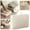 White, variant on Ultra Thick Fabric Clothes Canvas Storage Bag Foldable Closet Organizer Bag With Reinforced Handle Sturdy For Sweaters T Shirts Blankets Coats Cloth, White 40*30*12Cm